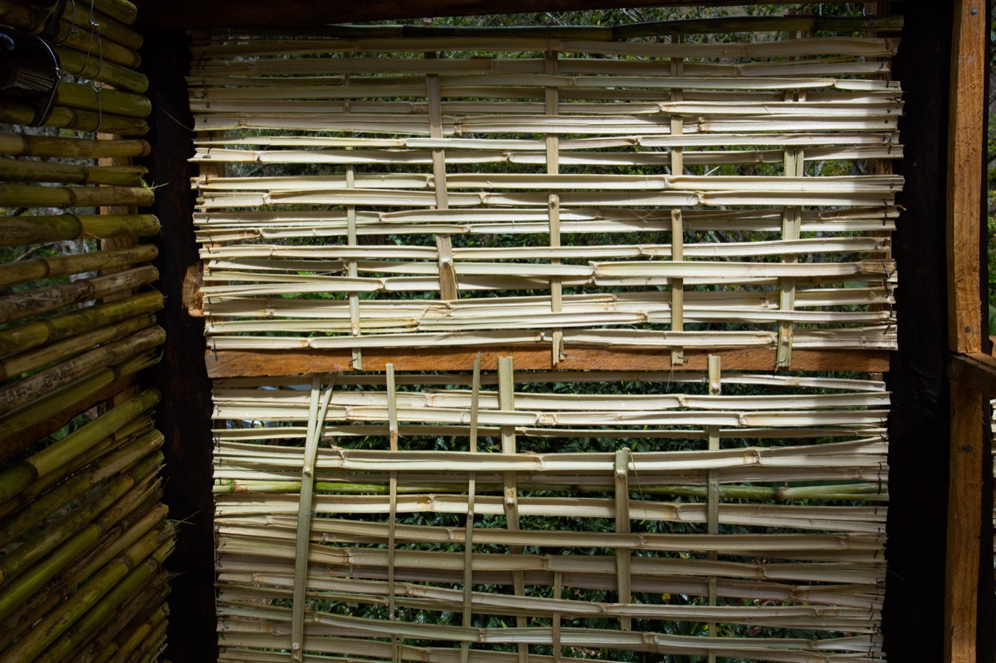 A bamboo quincha frame ready for earth