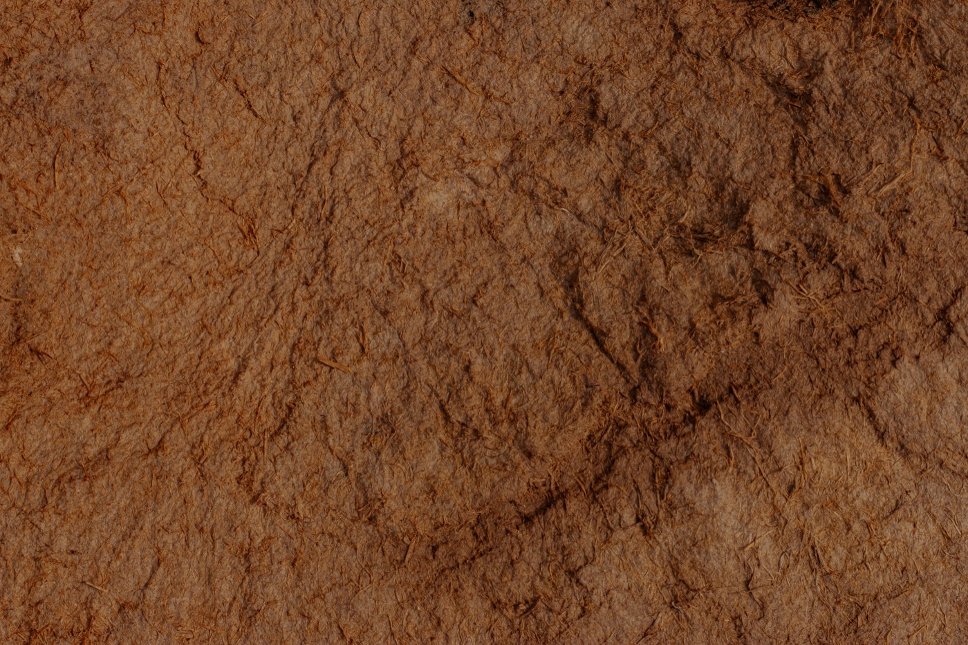 Building with rammed earth